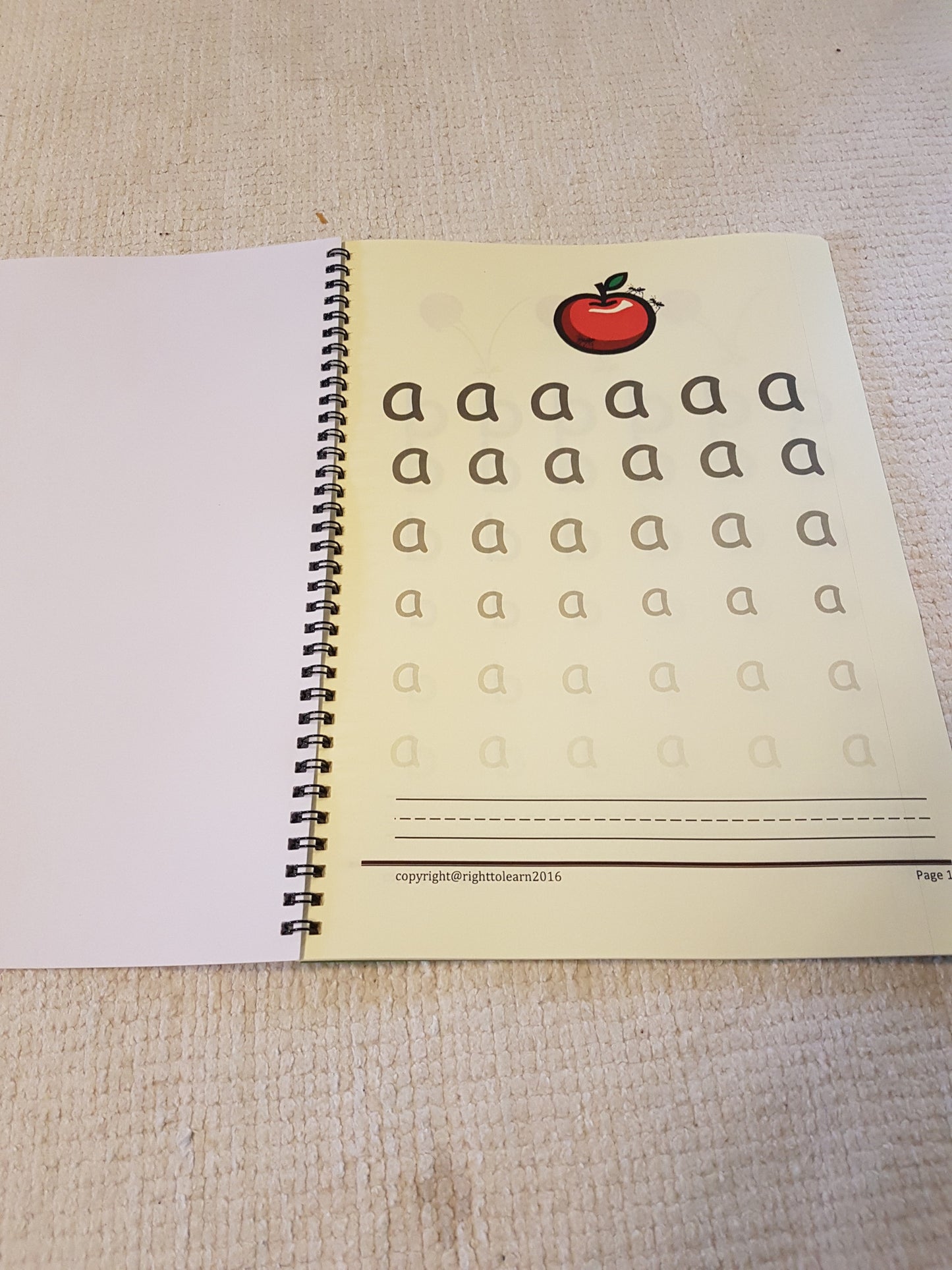 Ants on the Apple Writing Activity Book -1 - RightToLearn.com.sg
- 2