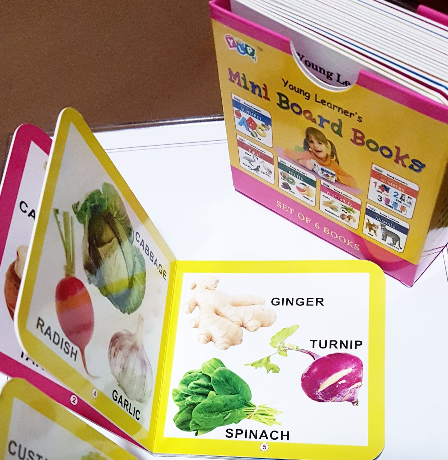 Young Learner's Mini Board Books- Hardcover