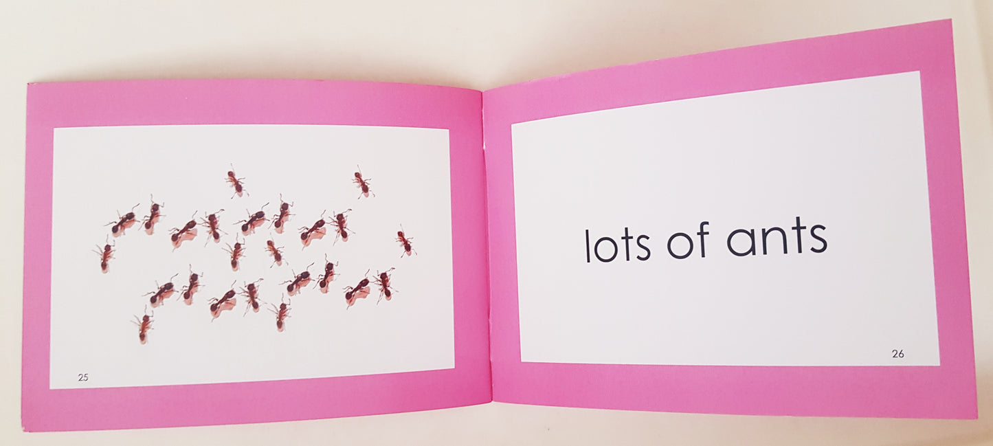 Montessori Pink Scheme - Phonics - Phrases A Booklet