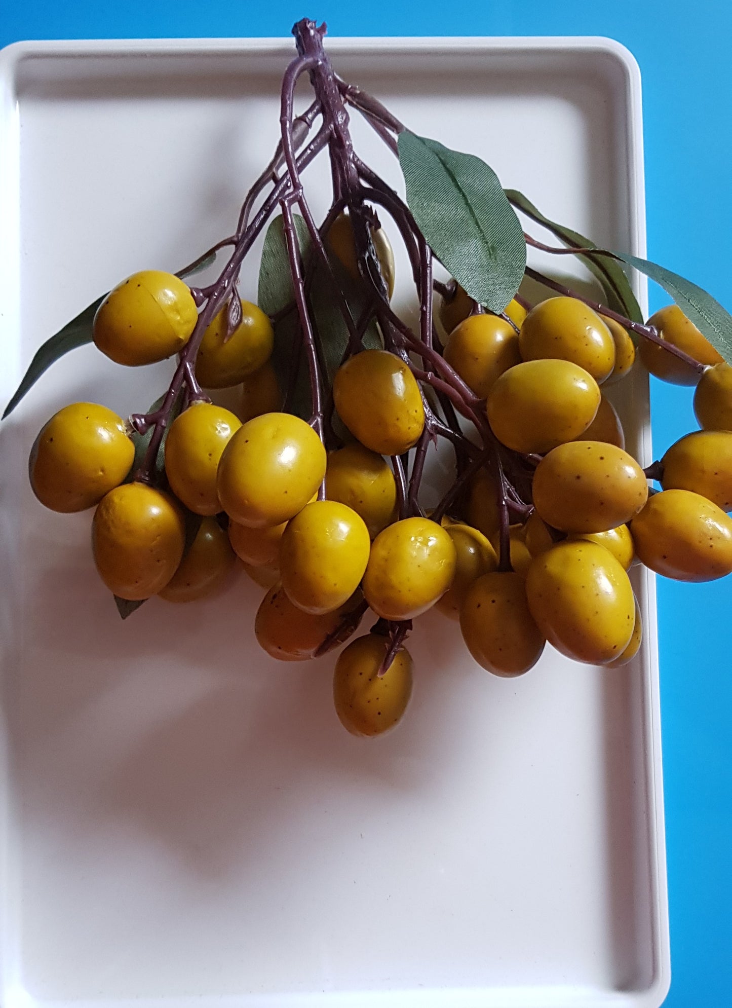 Montessori Cultural Activity - Real Texture & Look - Fruits- Decor & Display