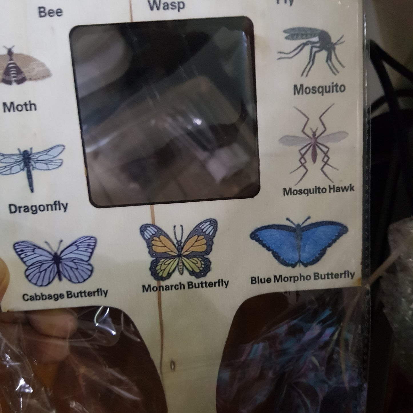 Montessori Nature - Wooden Double Sided Tool Viewfinder - Bugs & Insects