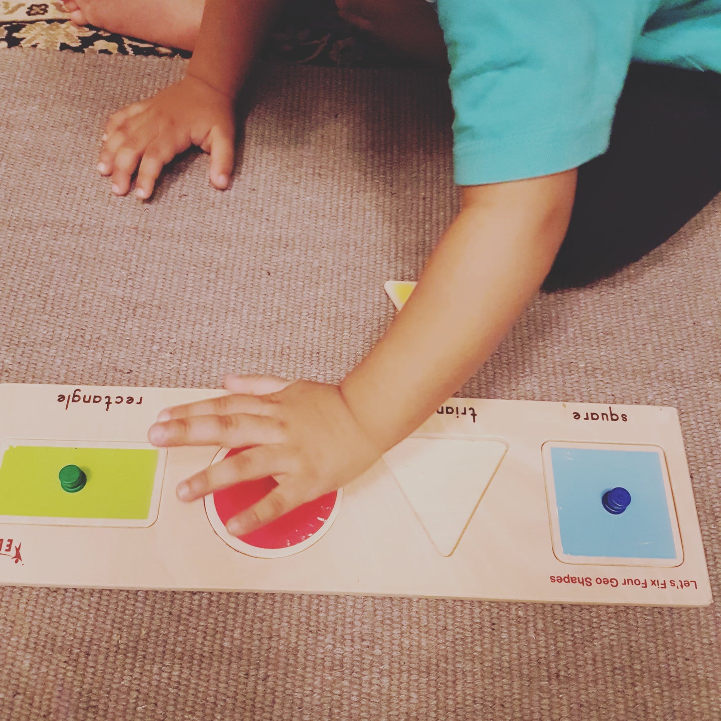 Basic Shapes - Knobbed Geo Puzzle