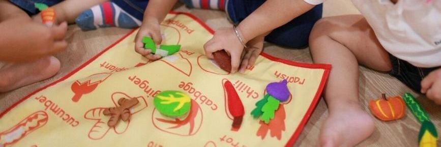 Felt Handmade Vegetables Wall Chart / Hanging Learning vocabulary names play mat set
