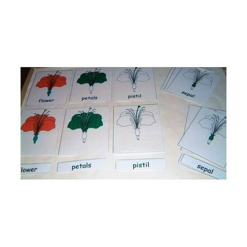 3 Part Cards - Parts of a Flower - RightToLearn.com.sg