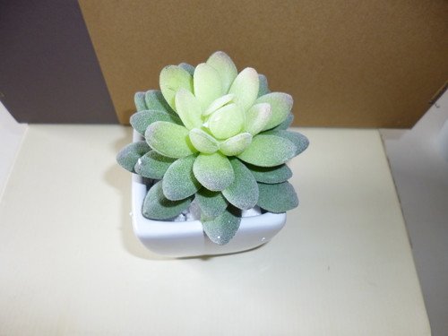 Decor - Fake - Life-Like Succulent Green Cactus Plant-1 - RightToLearn.com.sg
- 2