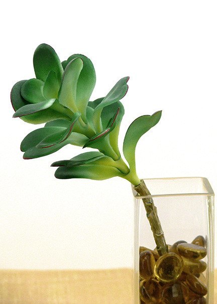 Decor - Fake - Life-Like Succulent Green Desert Rose Plant - RightToLearn.com.sg