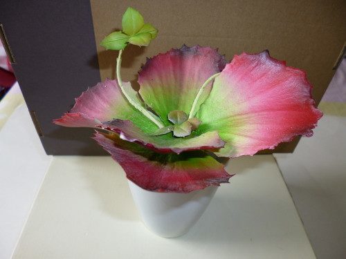 Decor - Fake - Life-Like Succulent Red Cactus Plant - RightToLearn.com.sg