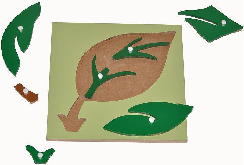 Wooden Knobbed Leaf Puzzle - RightToLearn.com.sg
- 4