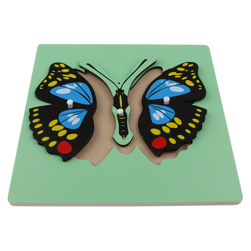 Montessori Knobbed Parts of a BUTTERFLY Puzzle