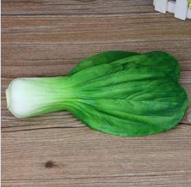 Real texture and look - Chinese Cabbage - RightToLearn.com.sg