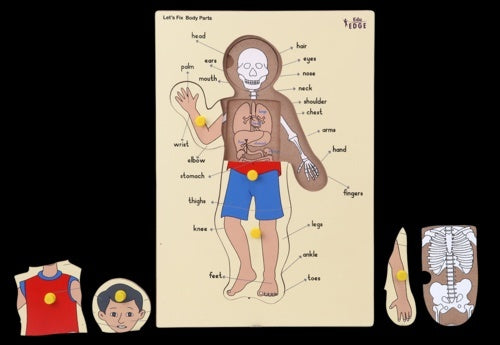 Wooden Knobbed Body Parts Puzzle - RightToLearn.com.sg