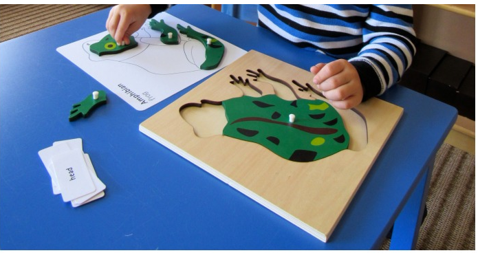 Parts of a FROG Puzzle