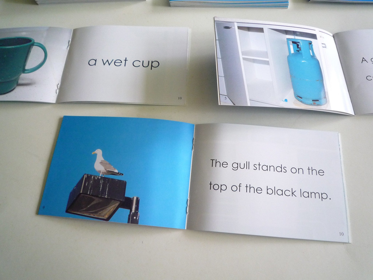 Montessori Blue Scheme - Phonetic Phrases & Sentences Booklets - RightToLearn.com.sg
- 5