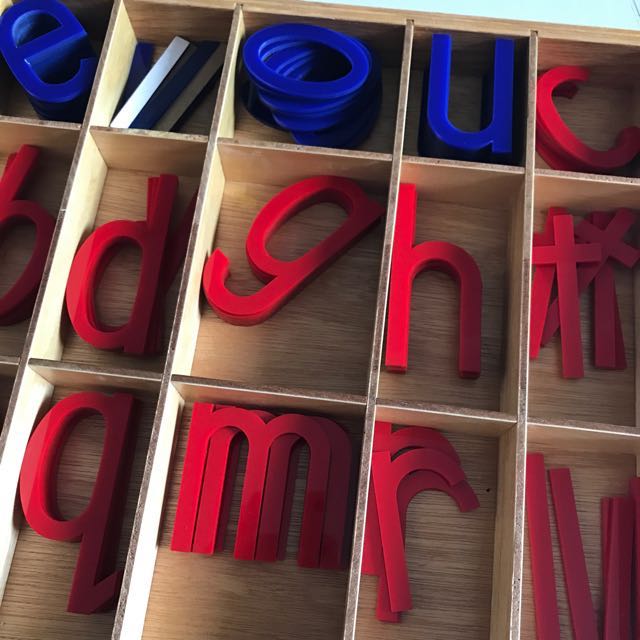 Montessori Large Moveable / Movable Alphabet- LMA - Acrylic