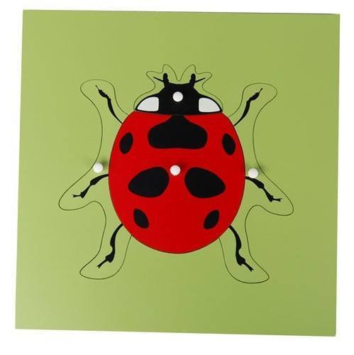 Parts of a Lady Bug Puzzle - RightToLearn.com.sg