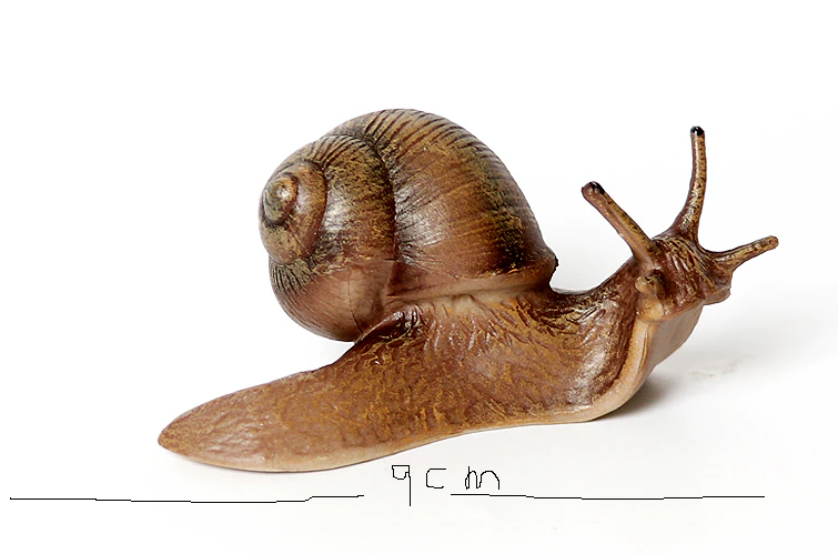 Life Cycle of a SNAIL - Miniature model
