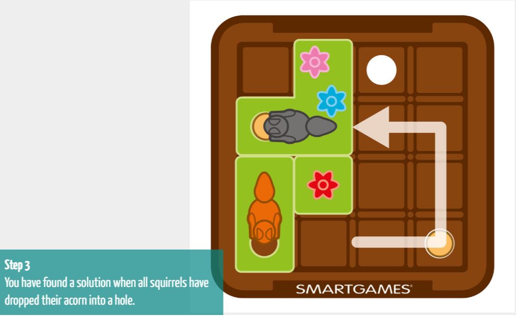 SmartGames - Squirrel Go Nuts - IQ Logic Puzzle Smart Games