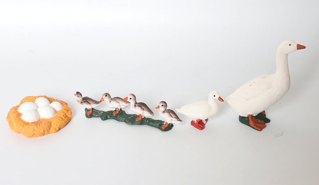 Life Cycle of a GOOSE - Miniature model