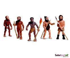 Life Cycle - Evolution of Man - Miniature model - RightToLearn.com.sg