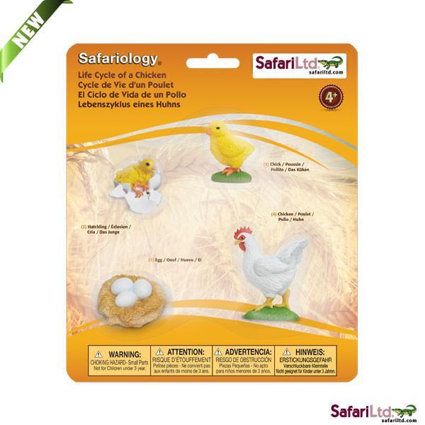 Life Cycle of a Chicken / Hen - Miniature model - RightToLearn.com.sg
- 2