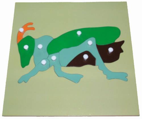 Parts of a CRICKET Puzzle - RightToLearn.com.sg