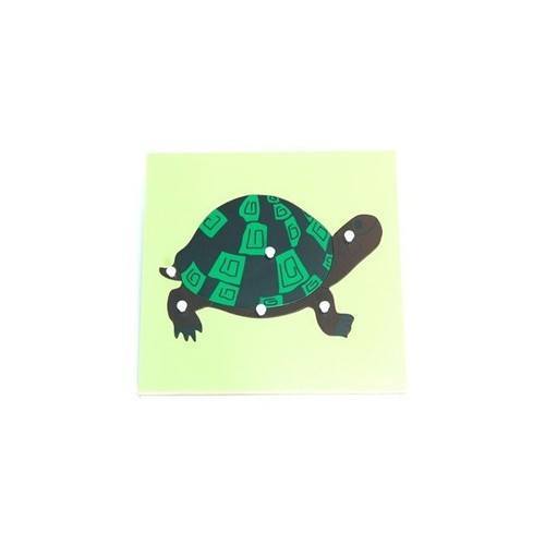 Parts of a TORTOISE Puzzle - RightToLearn.com.sg