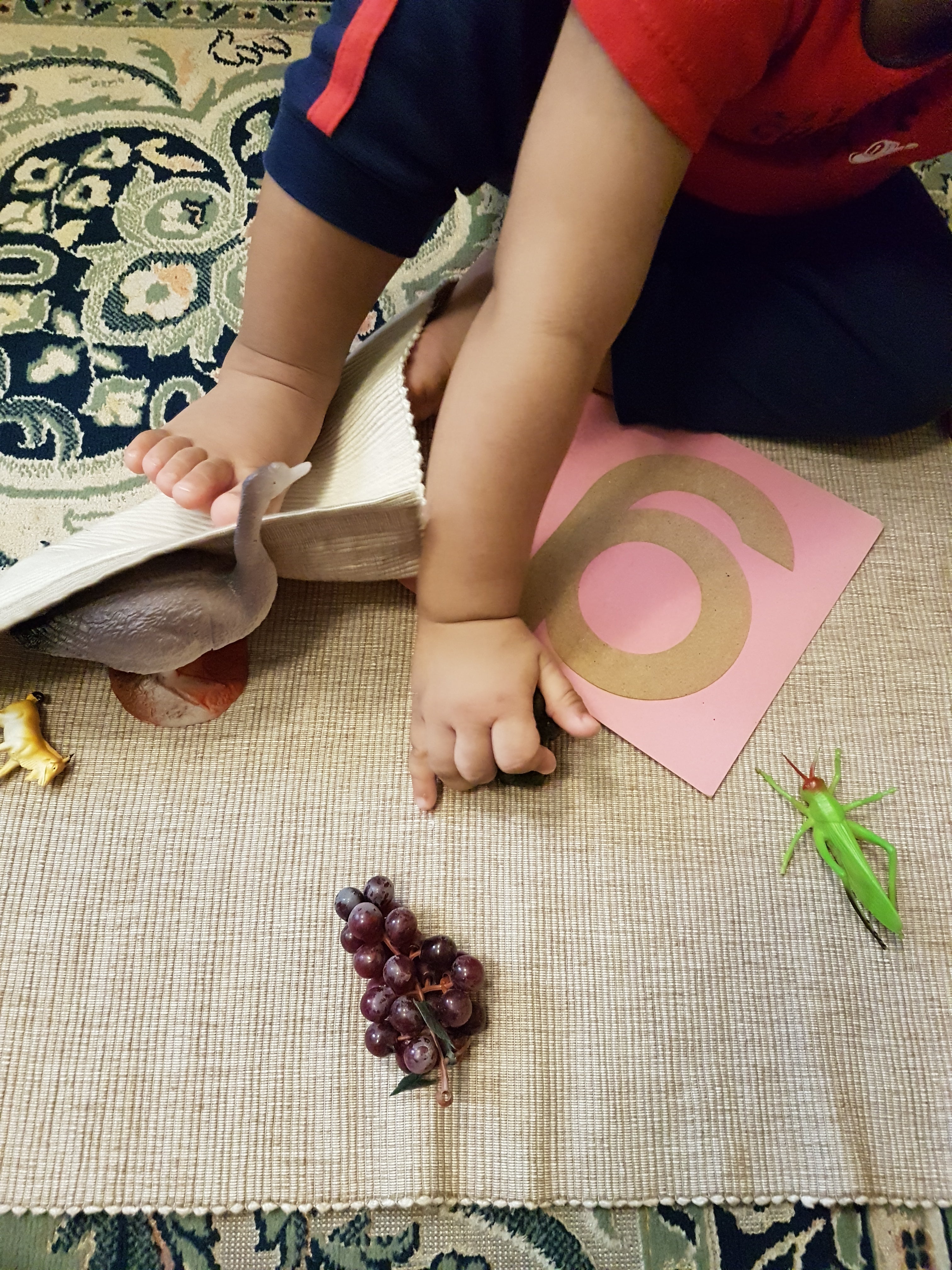 Montessori Letter Sounds with S.