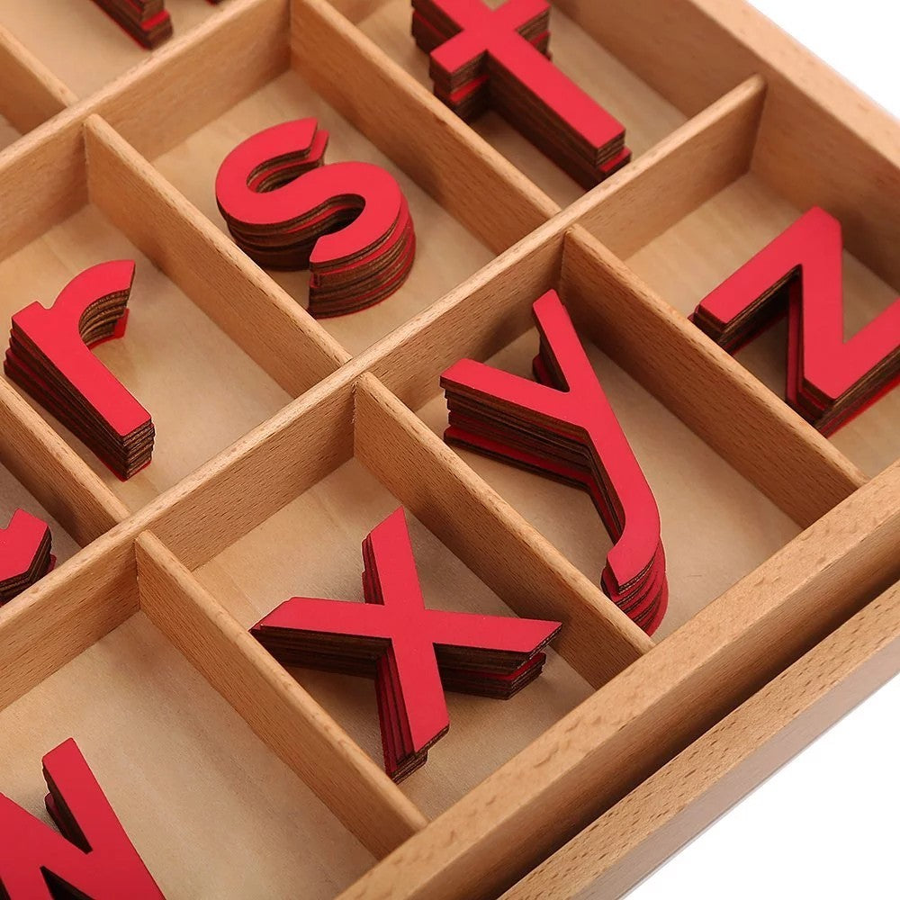 Large Moveable / Movable Alphabet (LMA) -  Wooden Smaller size