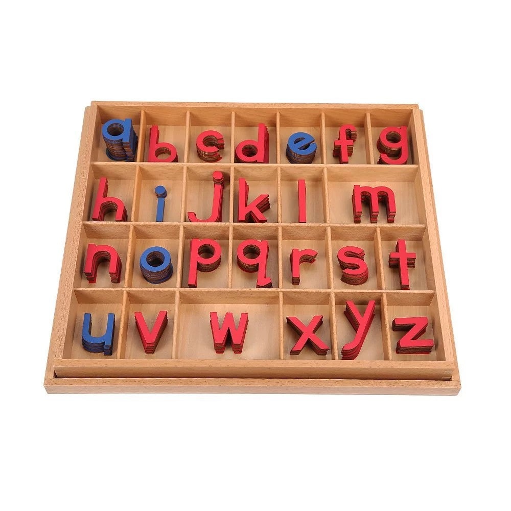 Large Moveable / Movable Alphabet (LMA) -  Wooden Smaller size