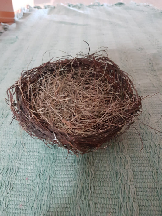 Decor Display - Bird Nest