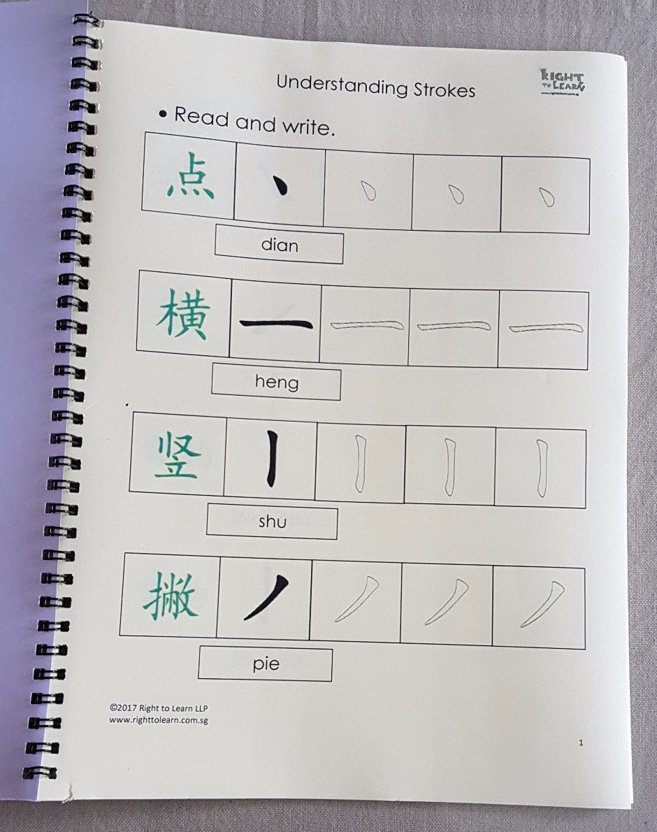 Understanding Chinese Strokes Book