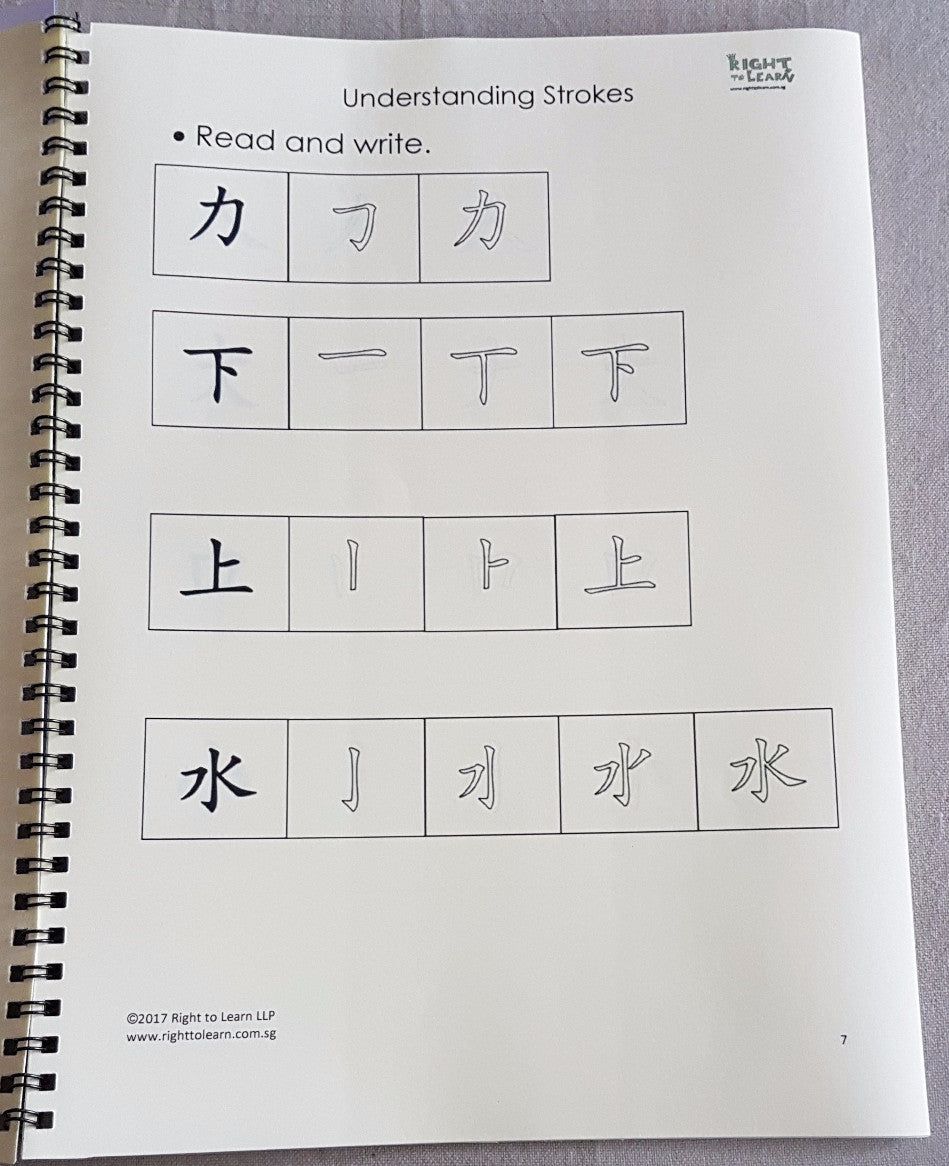 Understanding Chinese Strokes Book