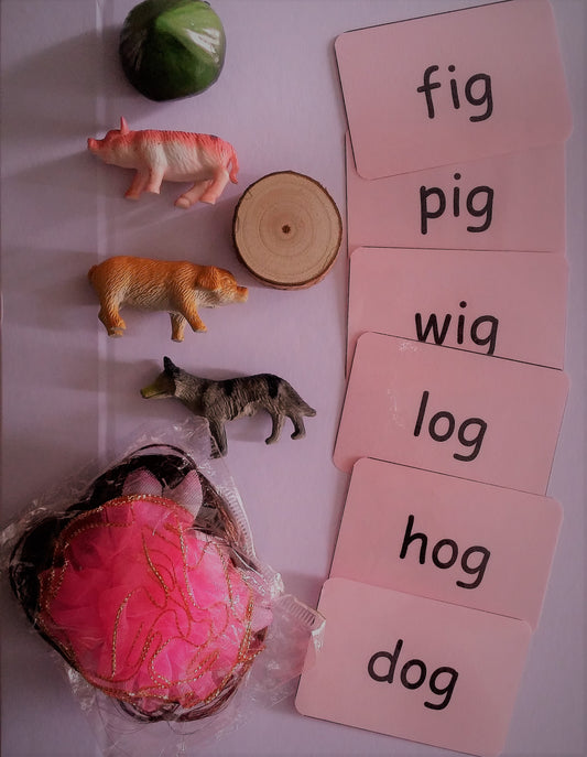 Montessori Pink Scheme - Phonics - word family - 'ig/og' objects