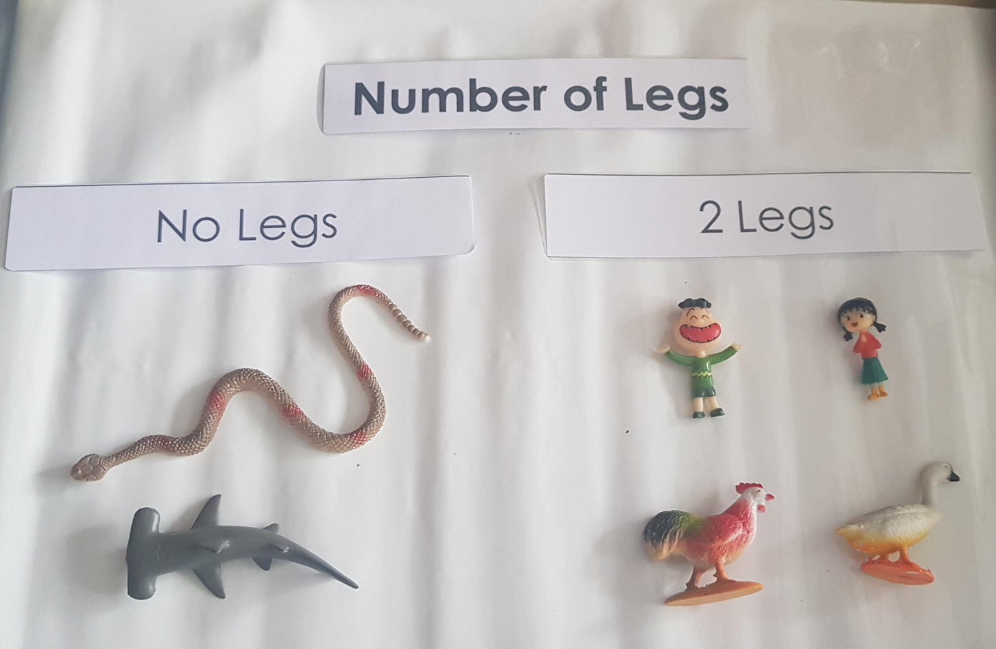 Animal Classification - Number of Legs