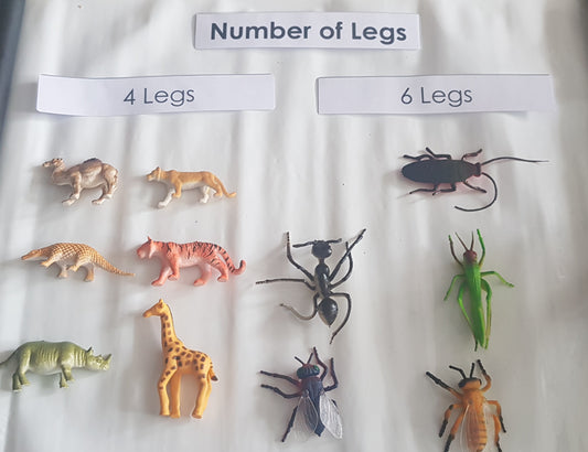 Animal Classification - Number of Legs