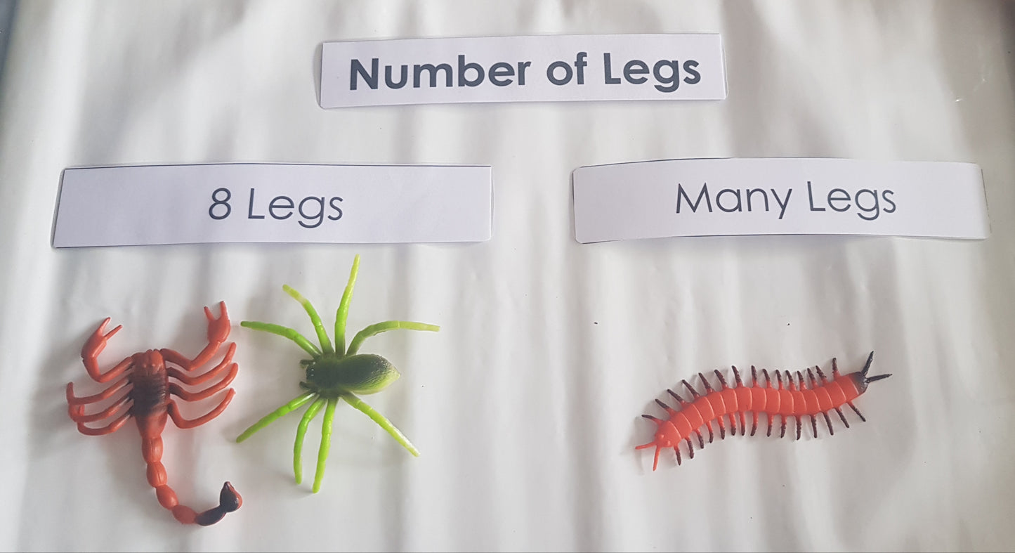 Animal Classification - Number of Legs