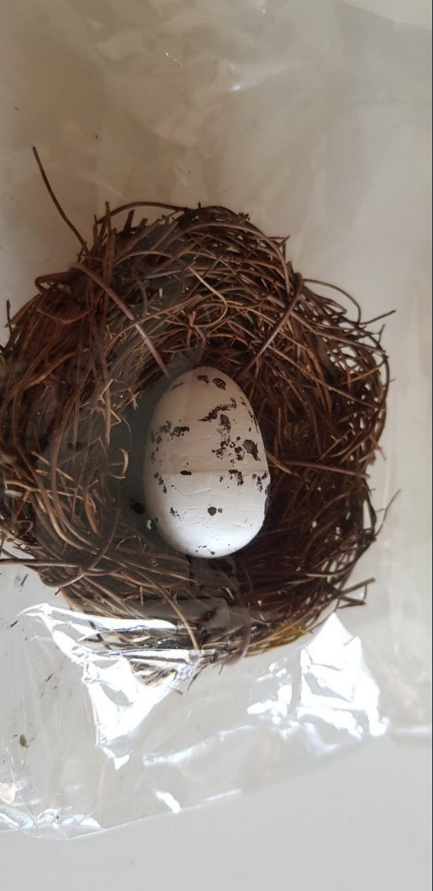 Decor - Bird Nest with eggs