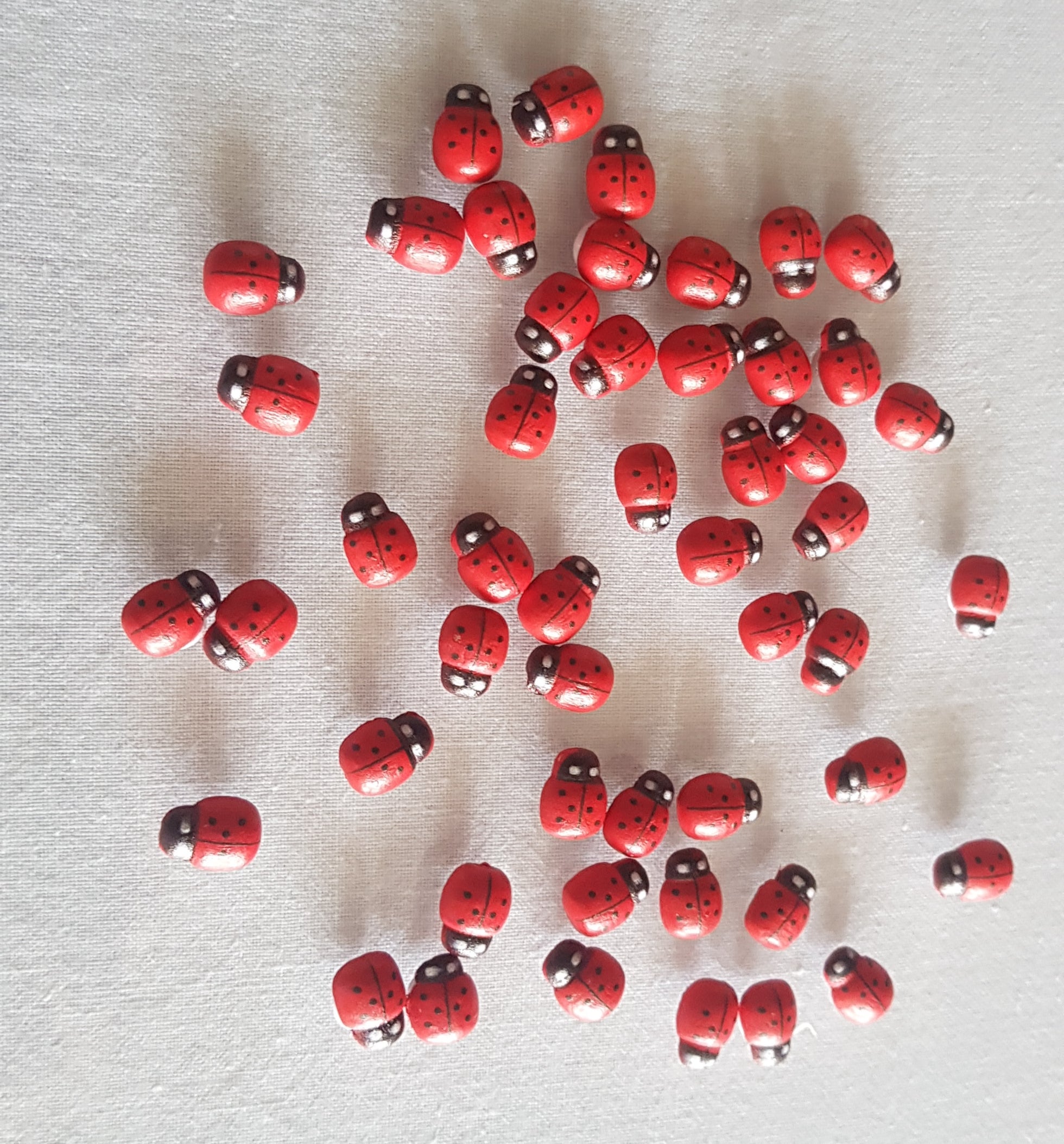 Wood Ladybug Stickers Self Adhesive Ladybug Sticker Wooden Ladybug Shaped  Sticker Diy Mini Ladybug Stickers 100PCS Wooden Ladybug Stickers Self  Adhesive DIY Mini Ladybug Shaped 