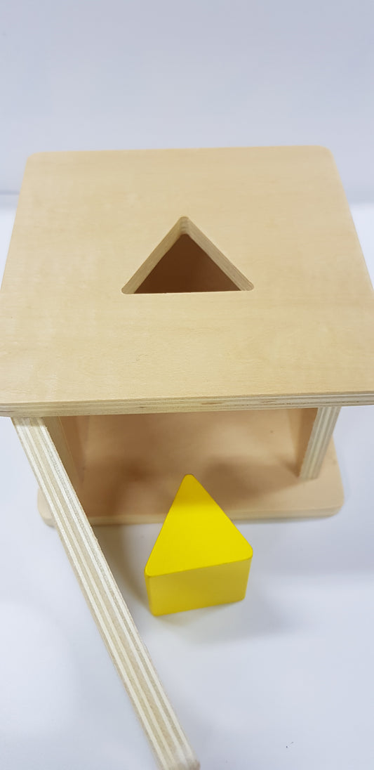 Montessori Imbucare Box with Triangular Prism