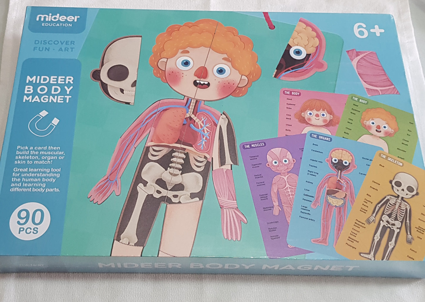 MiDeer Magnetic Body Parts Magnet 90 PCs - Learning about the Body