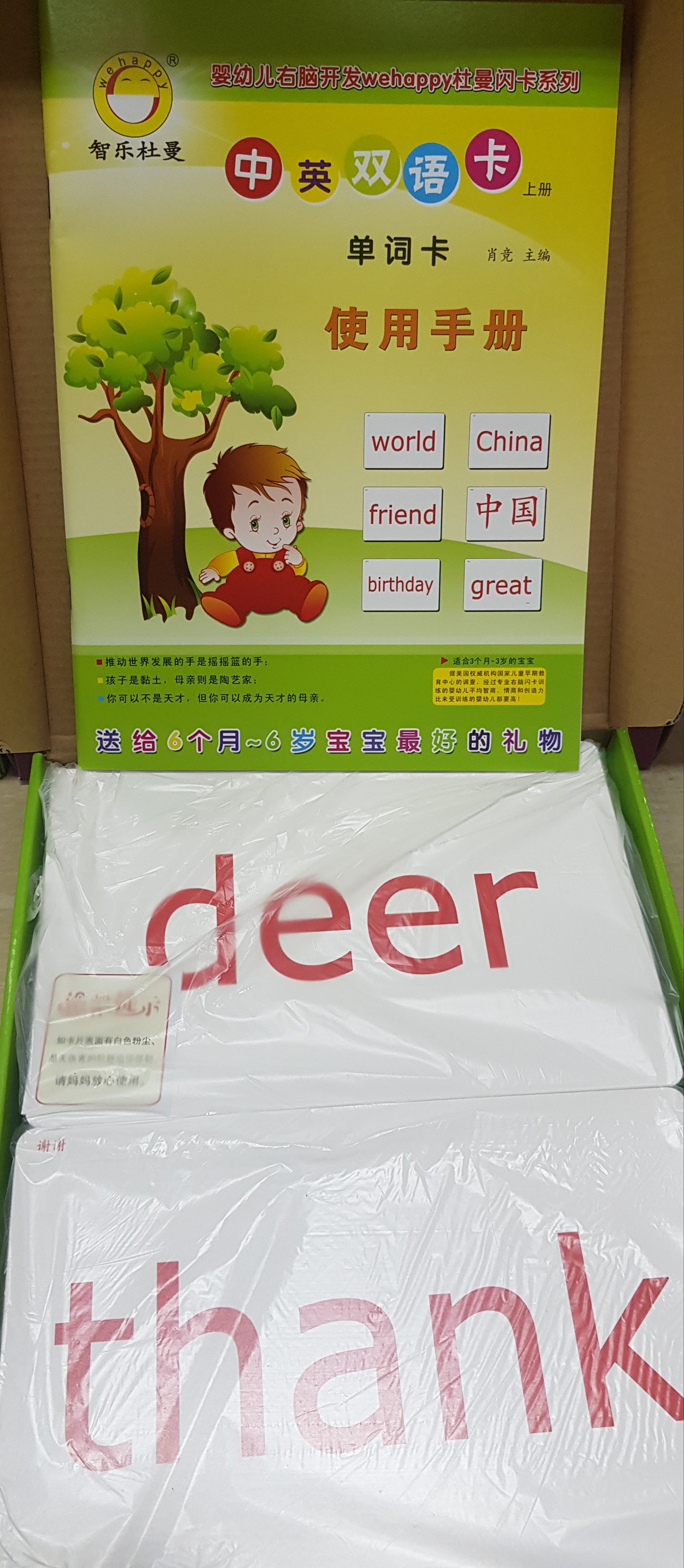 Wehappy Chinese English Words flashcards - clearance