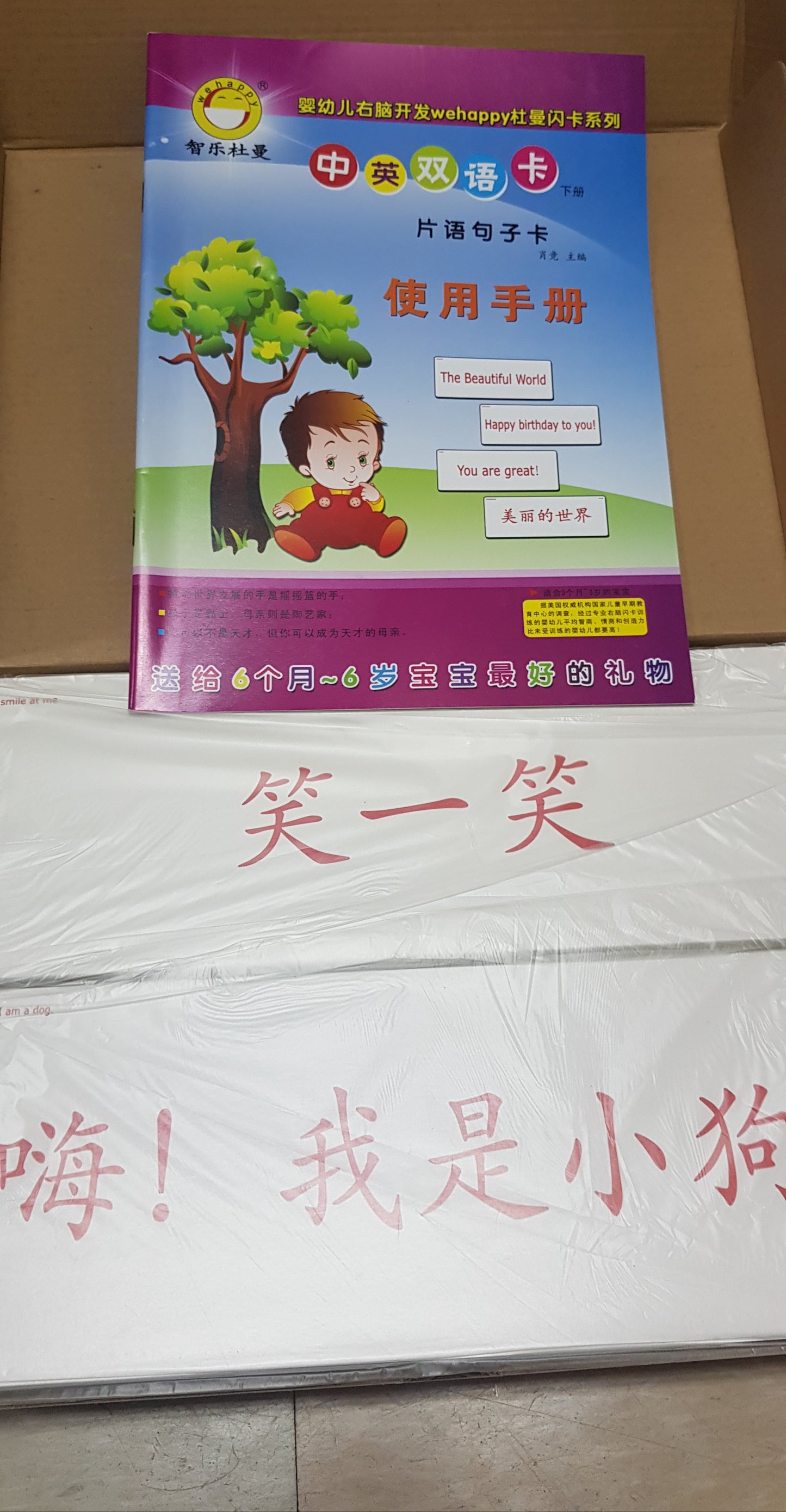 Wehappy Chinese English Phrases & Sentences flashcards