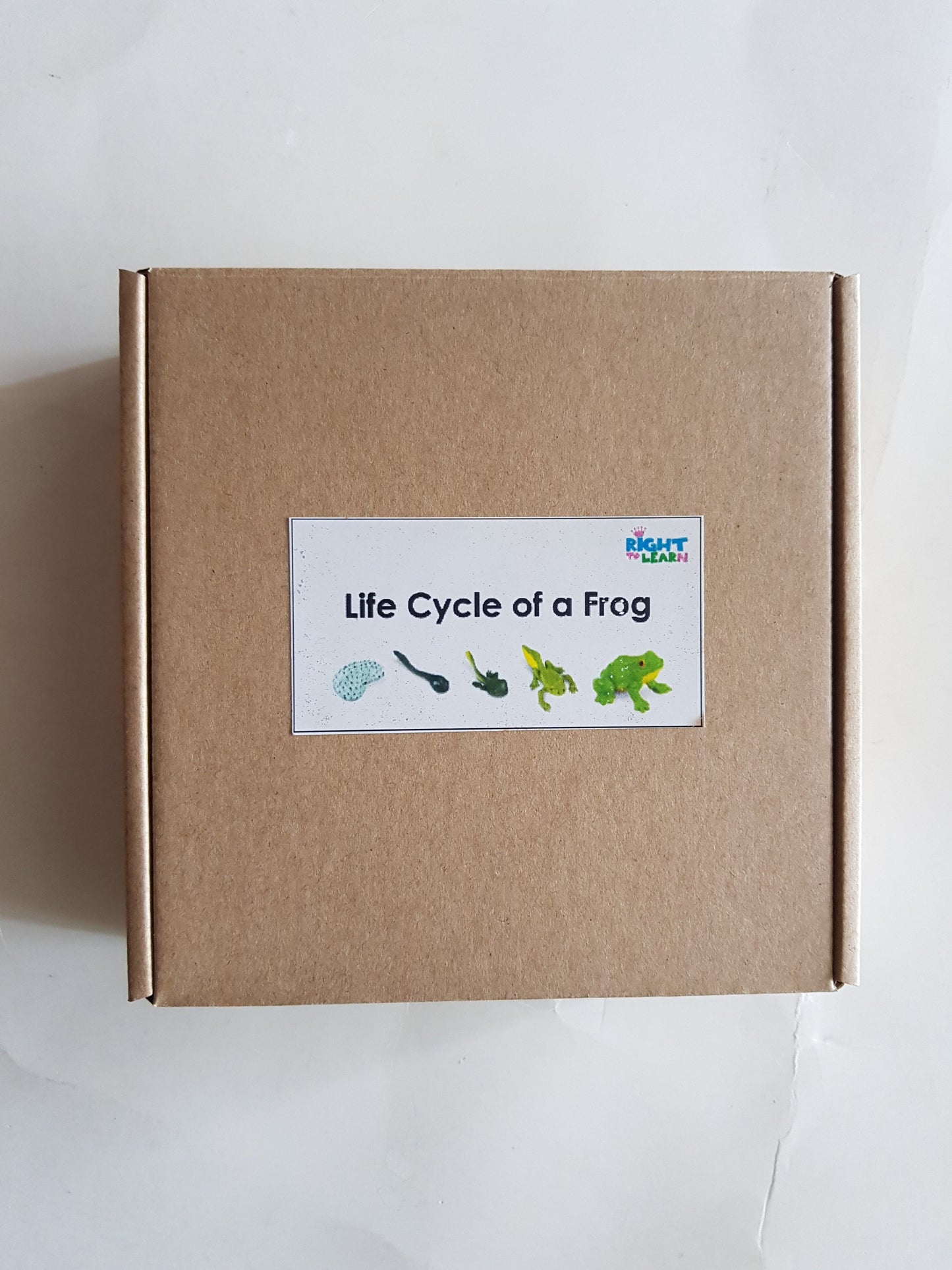 Montessori All about Frogs - Life Cycle Frog Miniature Models/ 4 part cards / Wooden Knobbed Puzzle/ Nomenclature cards