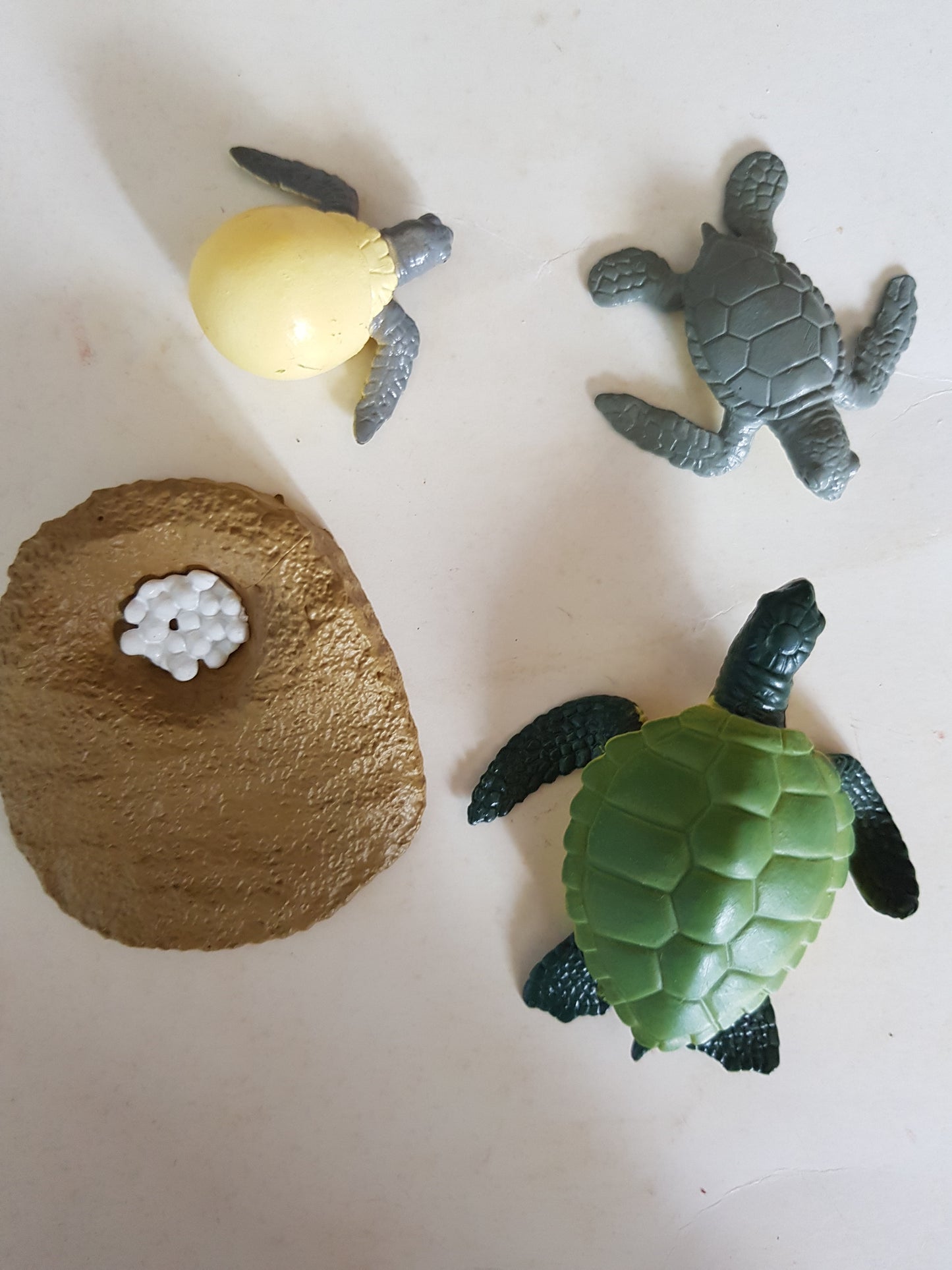 All about TURTLE Package - Life Cycle Models  / Life cycle cards/ /  Knobbed puzzle / 3 part Nomenclature cards