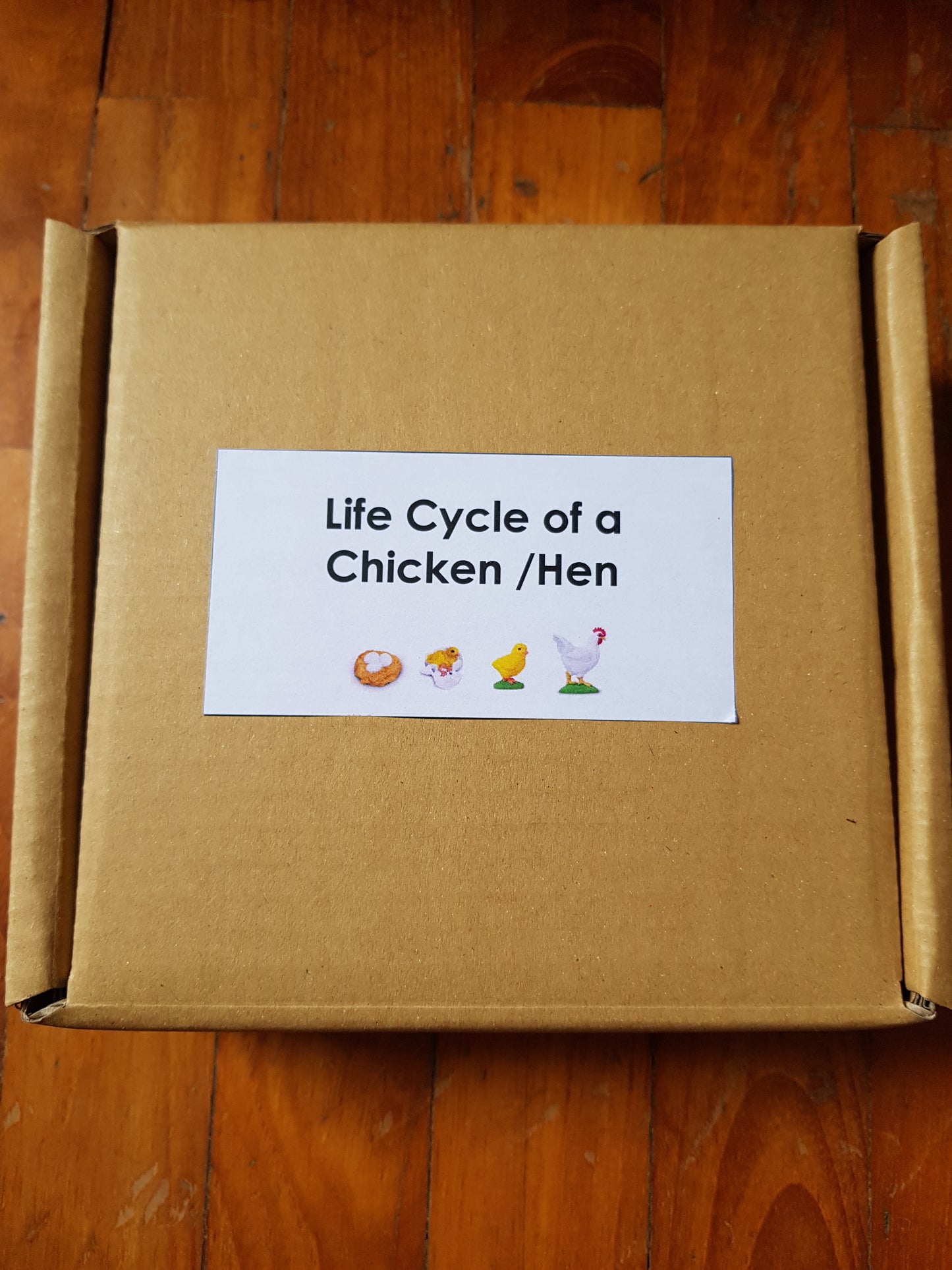 Life Cycle of Chicken Miniature Models / 4 part cards / Package