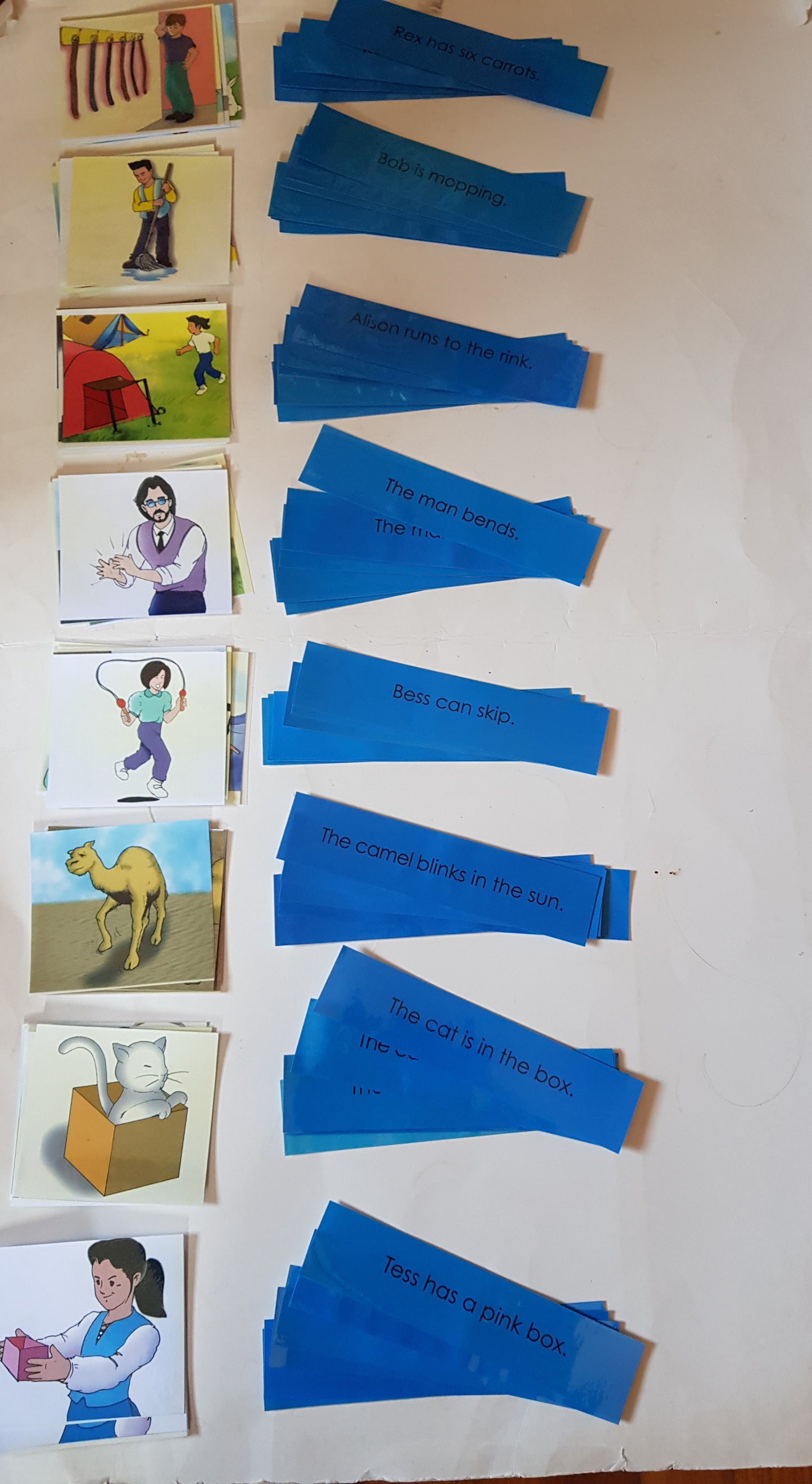 Montessori Blue Scheme - Phonics - Sentence  with Picture Cards