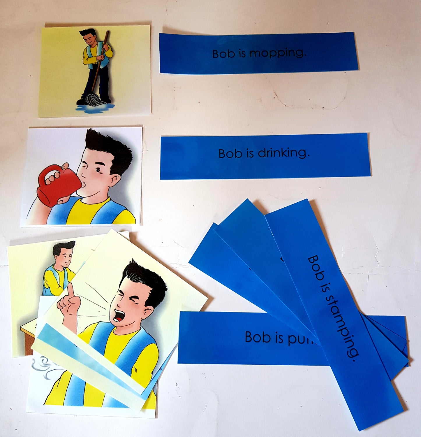 Montessori Blue Scheme - Phonics - Sentence  with Picture Cards