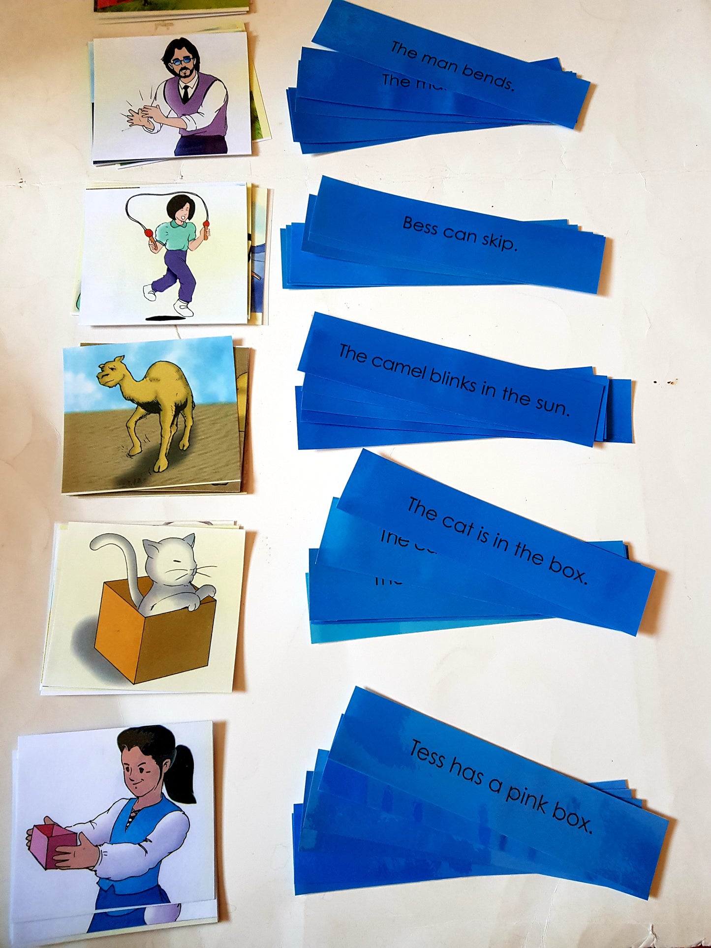 Montessori Blue Scheme - Phonics - Sentence  with Picture Cards