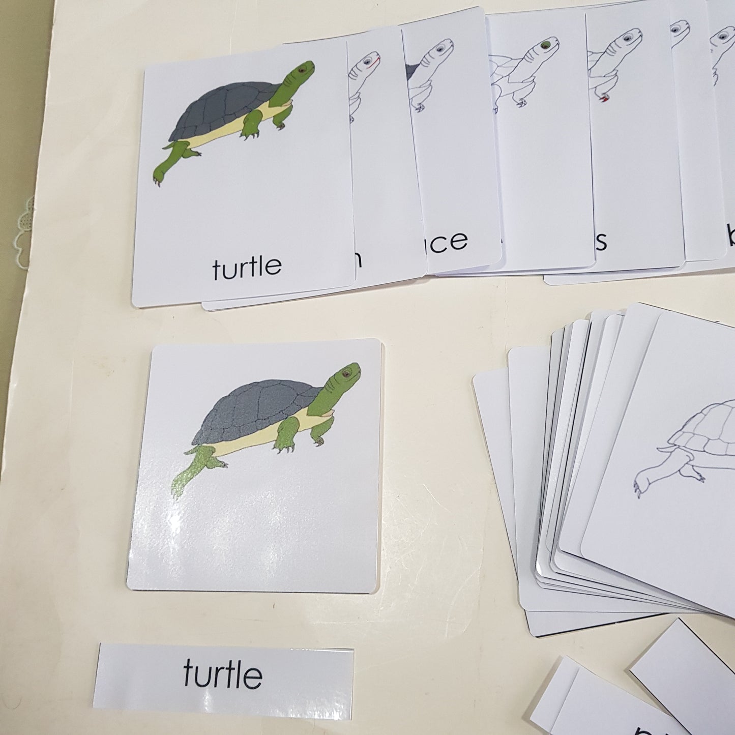 All about TURTLE Package - Life Cycle Models  / Life cycle cards/ /  Knobbed puzzle / 3 part Nomenclature cards