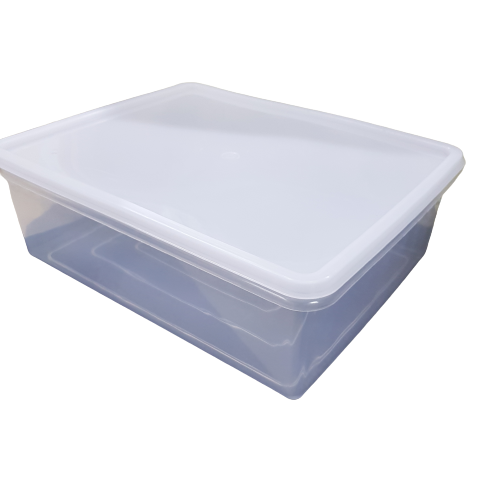 Rectangular Plastic Container with Lid for storage - RightToLearn